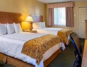 Best Western Inn & Suites - Rutland_4