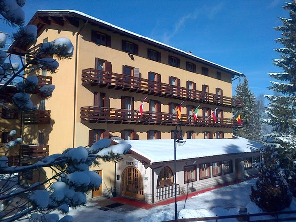 Hotel Des Alpes_2