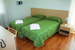 Hotel Des Alpes_6