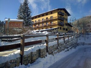 Hotel Des Alpes_7