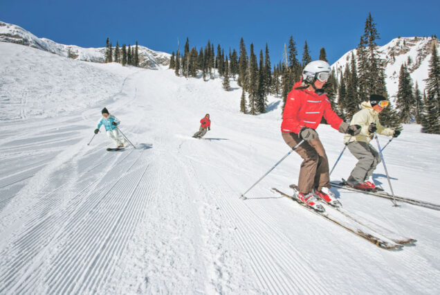 Fernie
